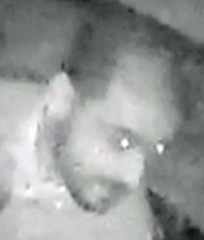 VIDEO - Home invasion in Anderlecht op 7 maart 2016