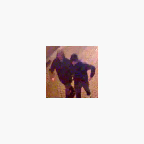 VIDEO - Franse vrouw slachtoffer van een grijpdiefstal in Mechelen