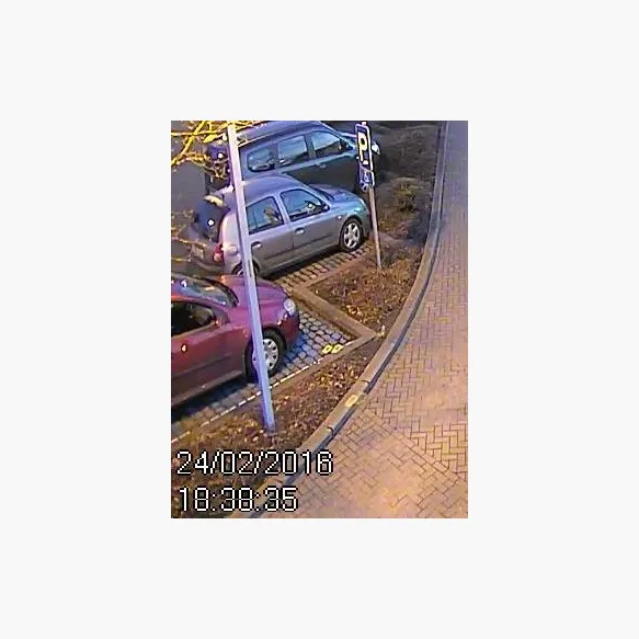 VIDEO - Trein beschoten in station Ruisbroek