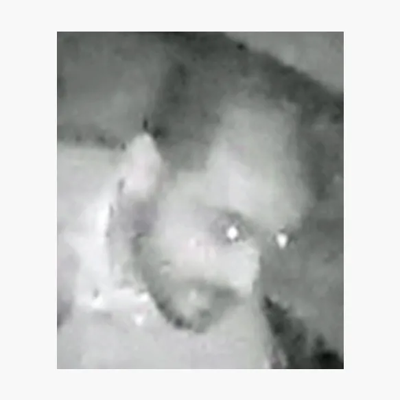 VIDEO - Home invasion in Anderlecht op 7 maart 2016