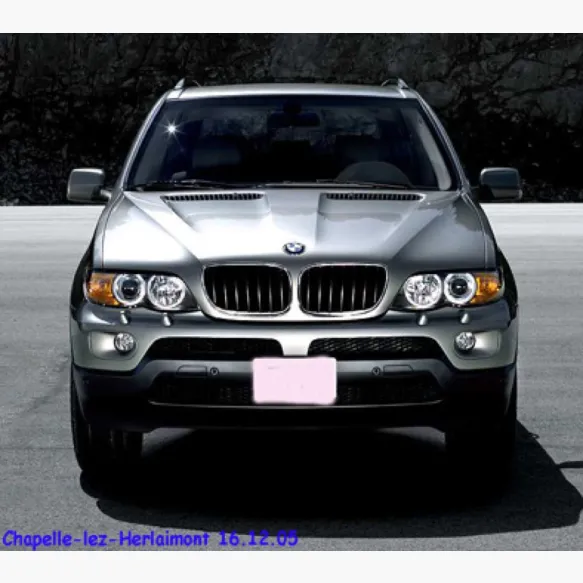 Ontdekking van een lijk in een uitgebrande BMW X5