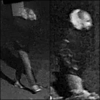 Home-invasion à De Panne 