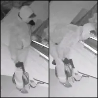 VIDEO - Home invasion in Anderlecht op 7 maart 2016