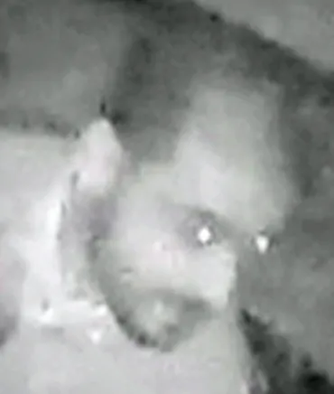VIDEO - Home invasion in Anderlecht op 7 maart 2016